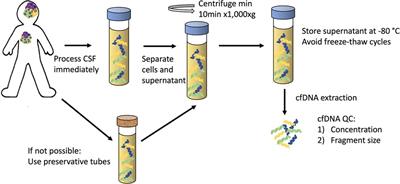 Liquid biopsy for children with central nervous system tumours: Clinical integration and technical considerations